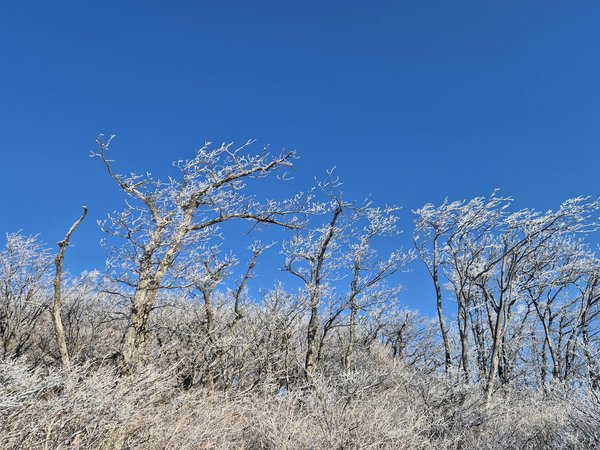 Révolution technologique : Nouvelles approches dans la lutte contre les maladies dégénératives